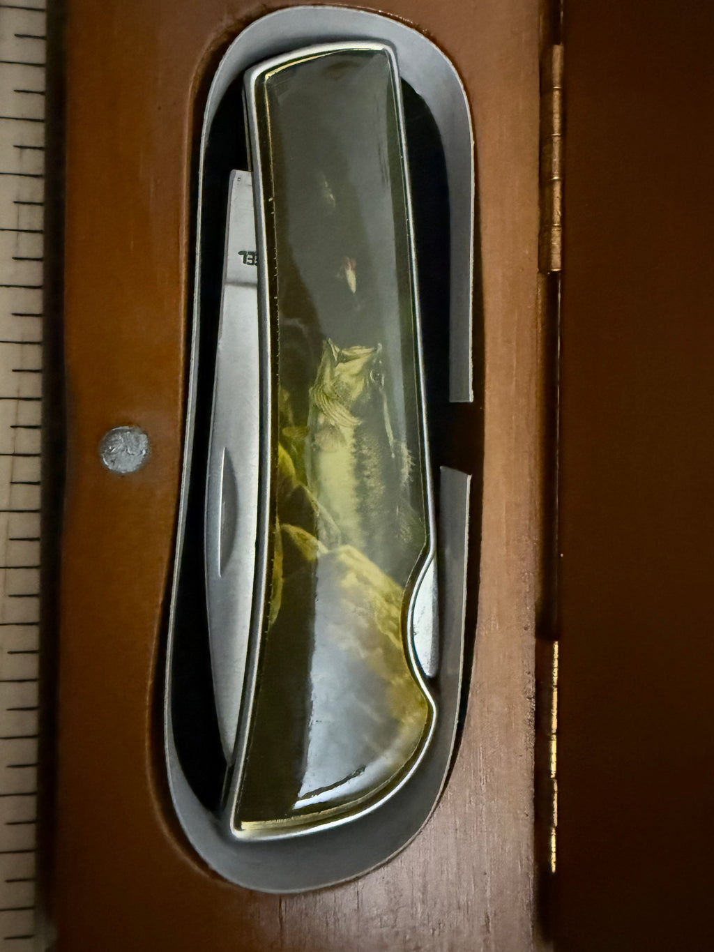 Stainless Bass Knife